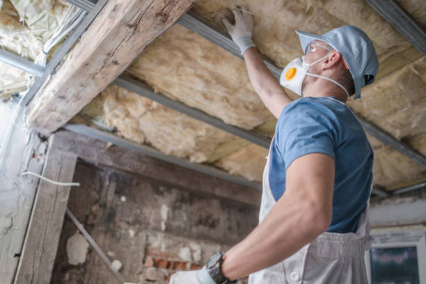 Best Residential Insulation in Warsaw, VA