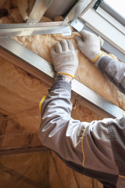Best Cellulose Insulation in Warsaw, VA