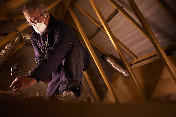Best DIY Insulation Kits and Guidance in Warsaw, VA
